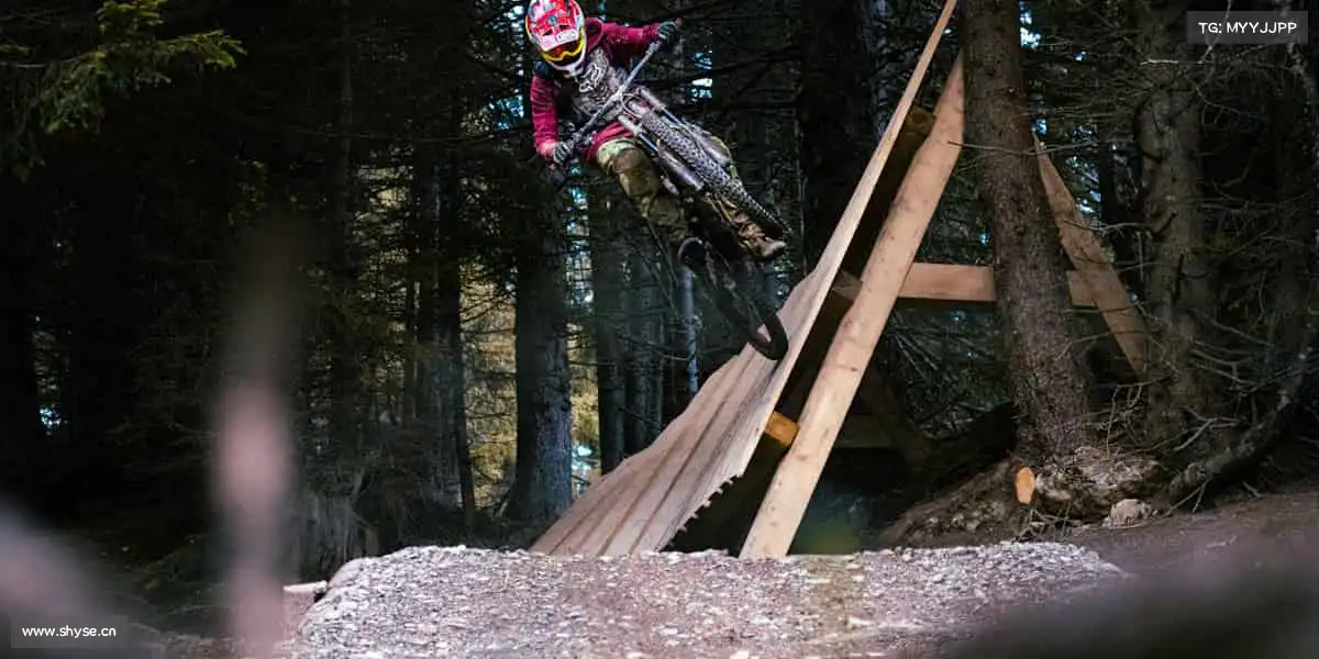 为什么选择我们