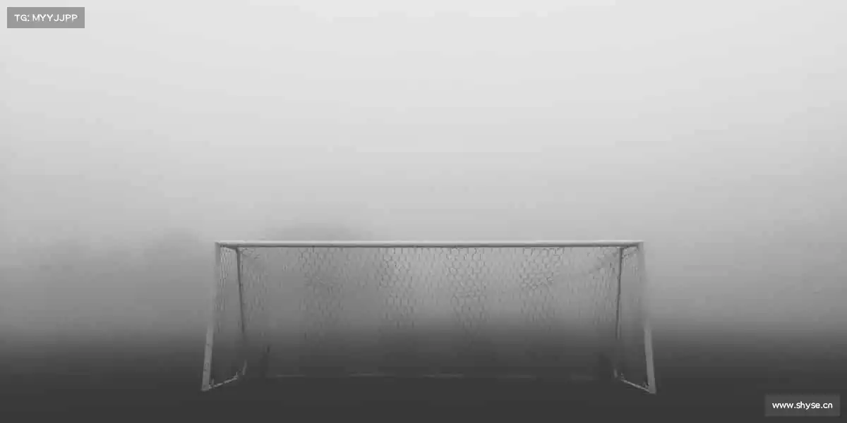 zoty中欧体育无关年龄，只要你敢，全场为你喝彩！👏🎾